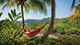 Attractions Port Douglas