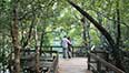 Port Douglas Tours