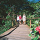 Central Plaza Port Douglas Testimonials